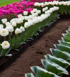 Идеальный грунт для эустомы: секреты успешного выращивания и ухода