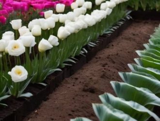 Идеальный грунт для эустомы: секреты успешного выращивания и ухода