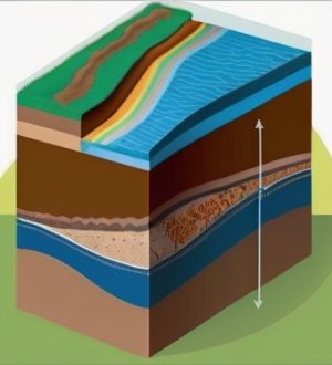 Как уровень грунтовых вод влияет на ваш участок: признаки, методы определения и способы снижения