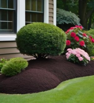 Как успешно пересадить розу из горшка в сад: полный гид для садоводов