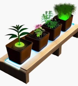 Создаем идеальный стеллаж для рассады: от выбора материалов до ухода за растениями