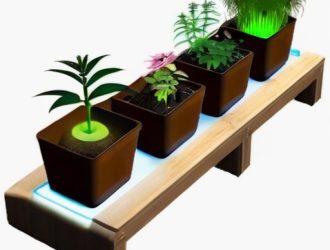 Создаем идеальный стеллаж для рассады: от выбора материалов до ухода за растениями