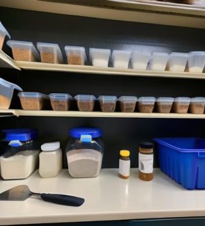 Алебастр от А до Я: история, замес и применение для начинающих и профессионалов