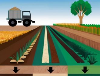 Азофоска и нитрофоска: секреты выбора удобрений для максимальной урожайности и экобезопасности