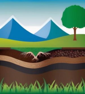 Дерновый грунт: уникальные свойства и применение в сельском хозяйстве и ландшафтном дизайне