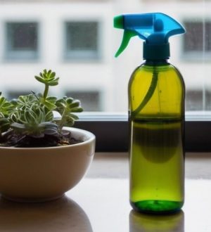 Эффективные методы борьбы с плесенью на оконных откосах: от причин до профилактики