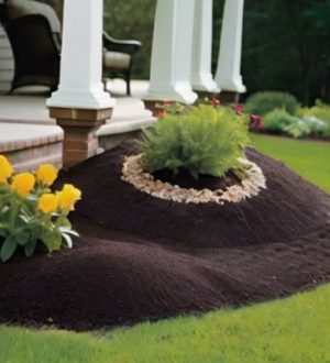 Эффективные способы борьбы с муравейниками на участке: от натуральных методов до профессиональной помощи