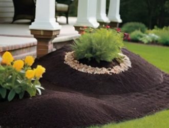 Эффективные способы борьбы с муравейниками на участке: от натуральных методов до профессиональной помощи