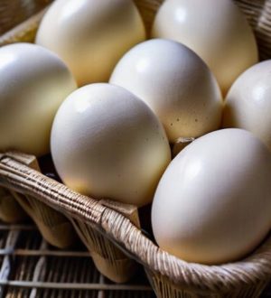 Искусство инкубации: как вырастить здоровых гусят в домашних условиях