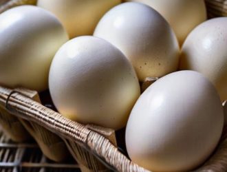 Искусство инкубации: как вырастить здоровых гусят в домашних условиях