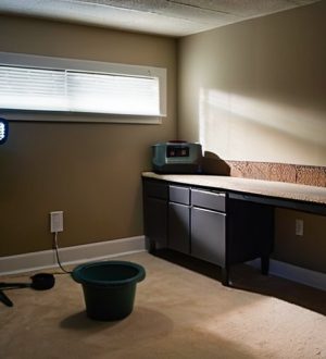 Как эффективно справиться с сыростью в подвале: от диагностики до профилактики