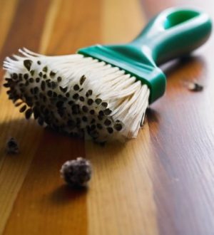 Как избавиться от черной плесени на дереве: эффективные методы и профилактика