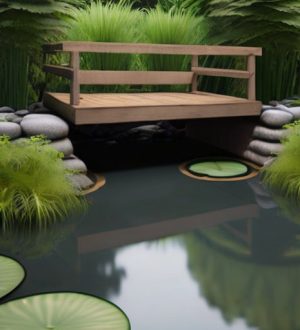 Как избавиться от лягушек в пруду: экологически безопасные методы и советы по уходу