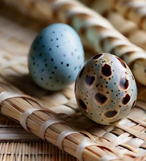 Как отличить самца от самки: полное руководство по определению пола перепелов