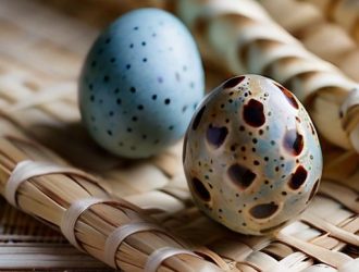 Как отличить самца от самки: полное руководство по определению пола перепелов