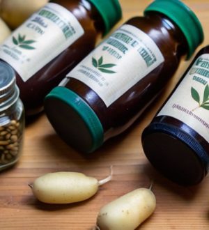 Как подготовить семенной картофель к посадке для богатого урожая: от защиты до стимуляции роста