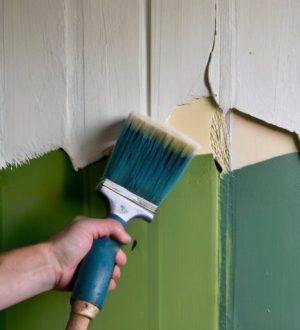 Как покрасить побелку водоэмульсионной краской: секреты успешного обновления интерьера