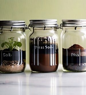 Как проверить и скорректировать кислотность почвы: практическое руководство для садоводов