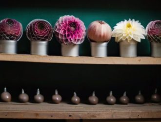 Как сохранить луковицы георгинов зимой для пышного цветения весной