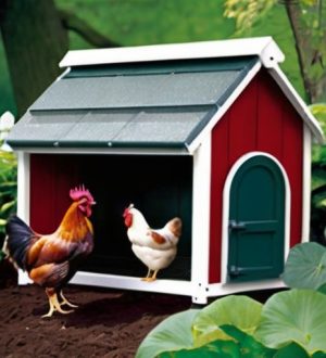 Как создать идеальные условия для кур: секреты температурного комфорта и продуктивности