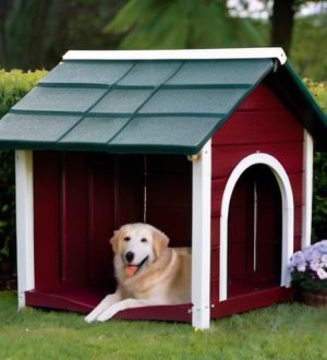 Как создать идеальный вольер для овчарки: от выбора размера до обустройства и безопасности