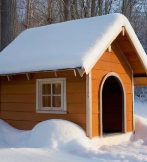 Как создать теплое и уютное убежище для вашего питомца: полное руководство по утеплению собачьей будки