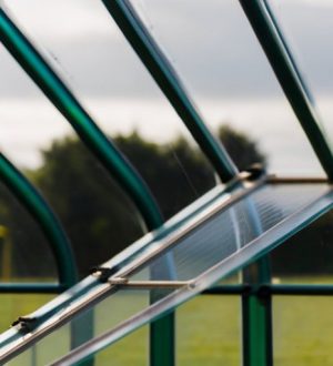 Как спасти поликарбонатную теплицу: причины трещин и эффективные способы их устранения