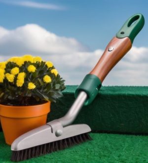 Как спасти самшит от пожелтения: причины, диагностика и эффективные методы ухода