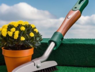 Как спасти самшит от пожелтения: причины, диагностика и эффективные методы ухода