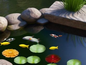Как ускорить рост карпа: ключевые факторы и практические советы для успешного рыбоводства