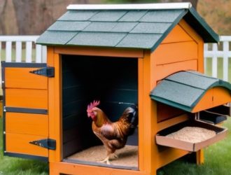 Как успокоить курятник: стратегии снижения агрессии среди пернатых обитателей