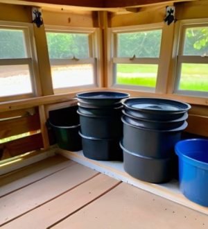 Как выбрать краску для курятника: советы по здоровью и безопасности птиц