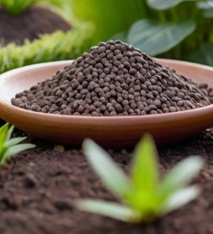 Керамзит: секреты устойчивости к влаге и его применение в строительстве и садоводстве