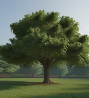 Маньчжурский орех: секреты успешного плодоношения и перспективы выращивания для садоводов и агрономов