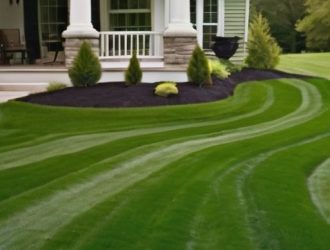 Мятлик луговой: секреты успешного выращивания от посадки до зимовки