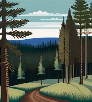 Оптимальное расстояние для посадки сосен: как избежать распространенных ошибок и достичь успеха