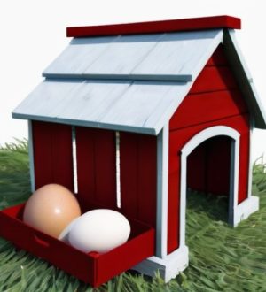 Почему куры несут маленькие яйца: основные причины и решения