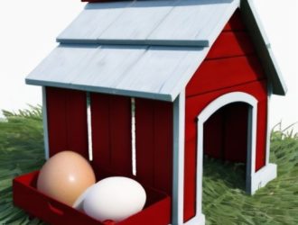 Почему куры несут маленькие яйца: основные причины и решения