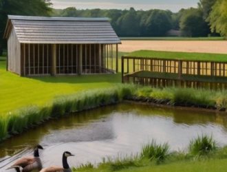 Разведение гусей: от выбора породы до рентабельного бизнеса