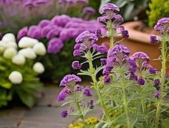 Секреты пышного цветения: как прищипывание помогает вербене стать вашим садовым шедевром