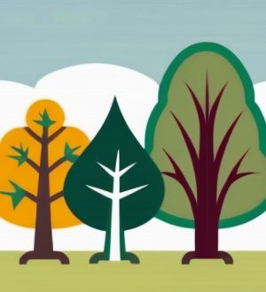 Секреты успешной обрезки деревьев: сезонные советы и практические рекомендации для здоровья вашего сада