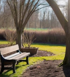 Снятие укрытий с деревьев: как правильно подготовиться к весне в Подмосковье