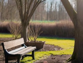 Снятие укрытий с деревьев: как правильно подготовиться к весне в Подмосковье