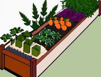 Соседство на грядках: Как выбрать идеальных «соседей» для растений и получить богатый урожай