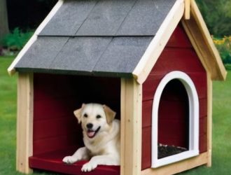 Создайте теплый дом для вашего питомца: пошаговое руководство по строительству уютной будки своими руками