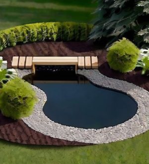 Создание идеального пруда: от планирования до заселения водными обитателями