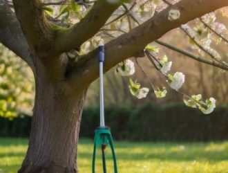 Весенний уход за яблонями: секреты успешного опрыскивания для здорового урожая