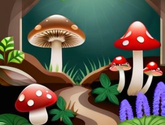 Выращивание грибов в саду: от увлечения до богатого урожая