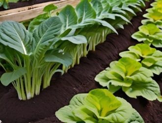 Выращивание хрена: секреты успешной посадки и ухода от подготовки почвы до хранения урожая