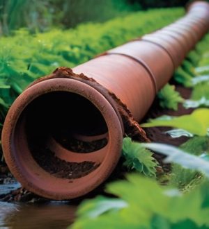 Железная угроза: как избыток железа в воде влияет на здоровье, технику и природу